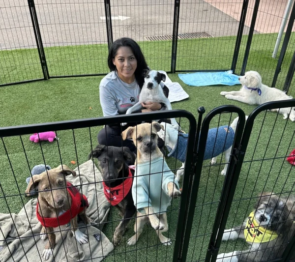 Ana hanging out with pups at Summit Subaru adoption event