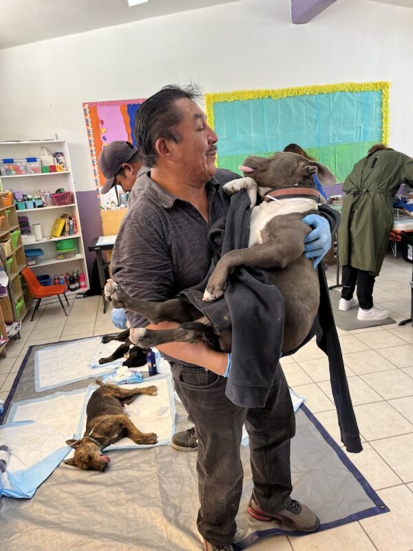 Jorge, a community member, caring for dogs during a spay & neuter campaign in his hometown.