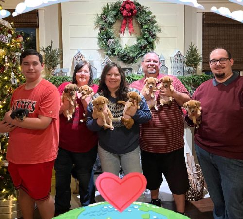 Karynspups Karyn is one of our amazing foster moms who helps out pregnant mamas and their pups until they are ready for adoption