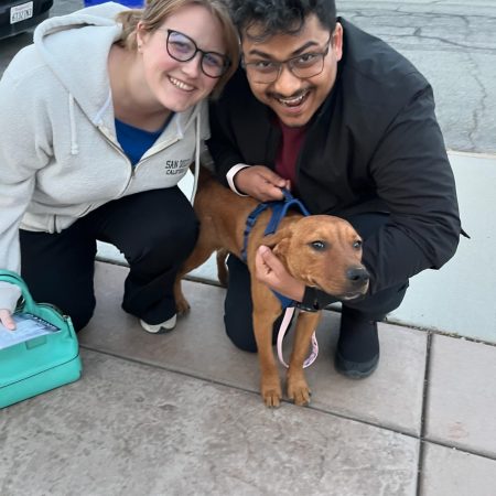 Lulu w her forever family