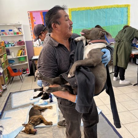 Jorge, a community member, caring for dogs during a spay & neuter campaign in his hometown.